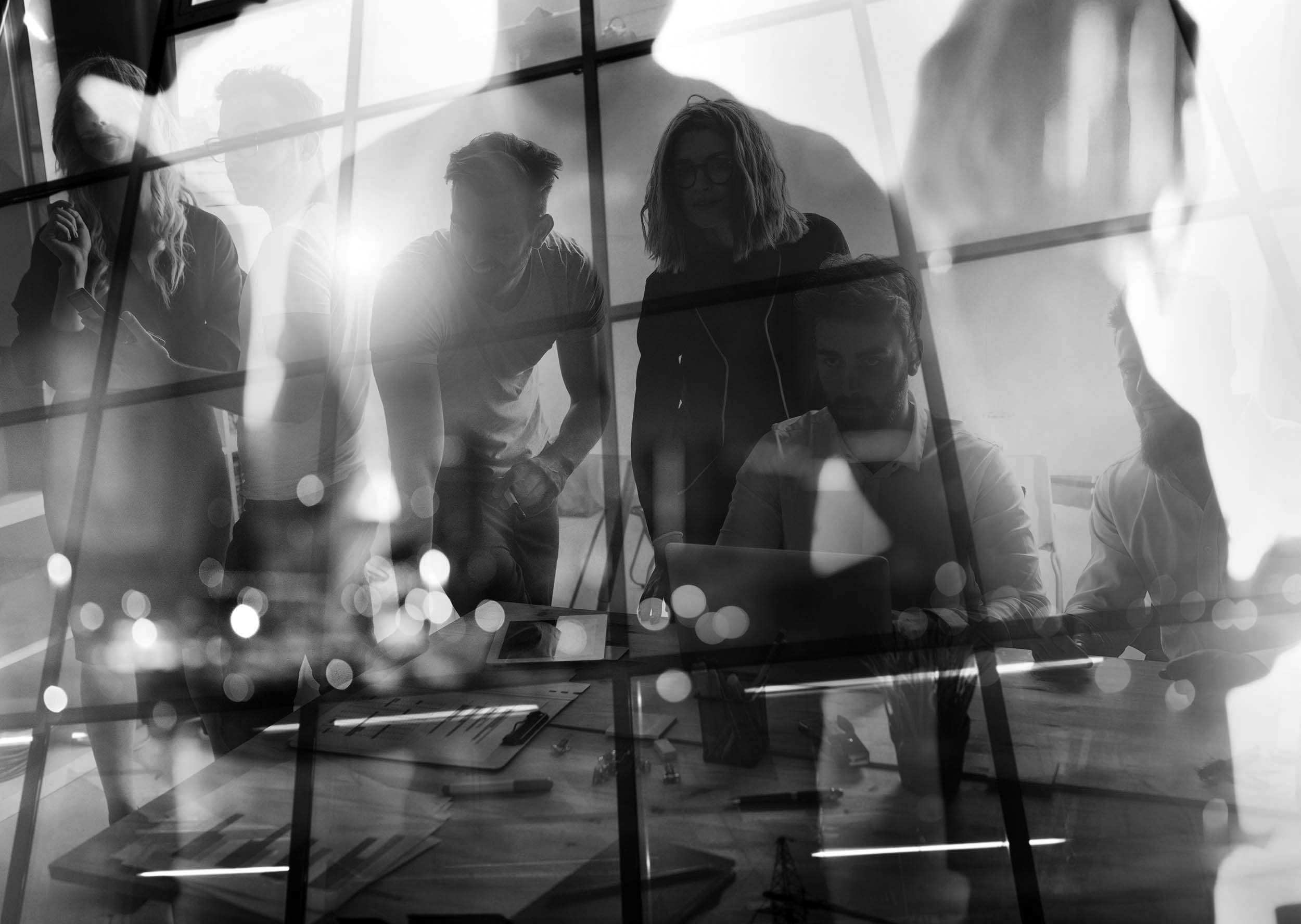 People working in the office