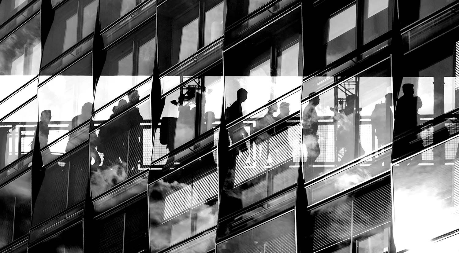 Vanguard 2024 Policy Updates