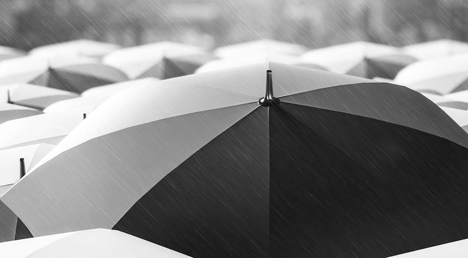 Effective Shareholder Engagement